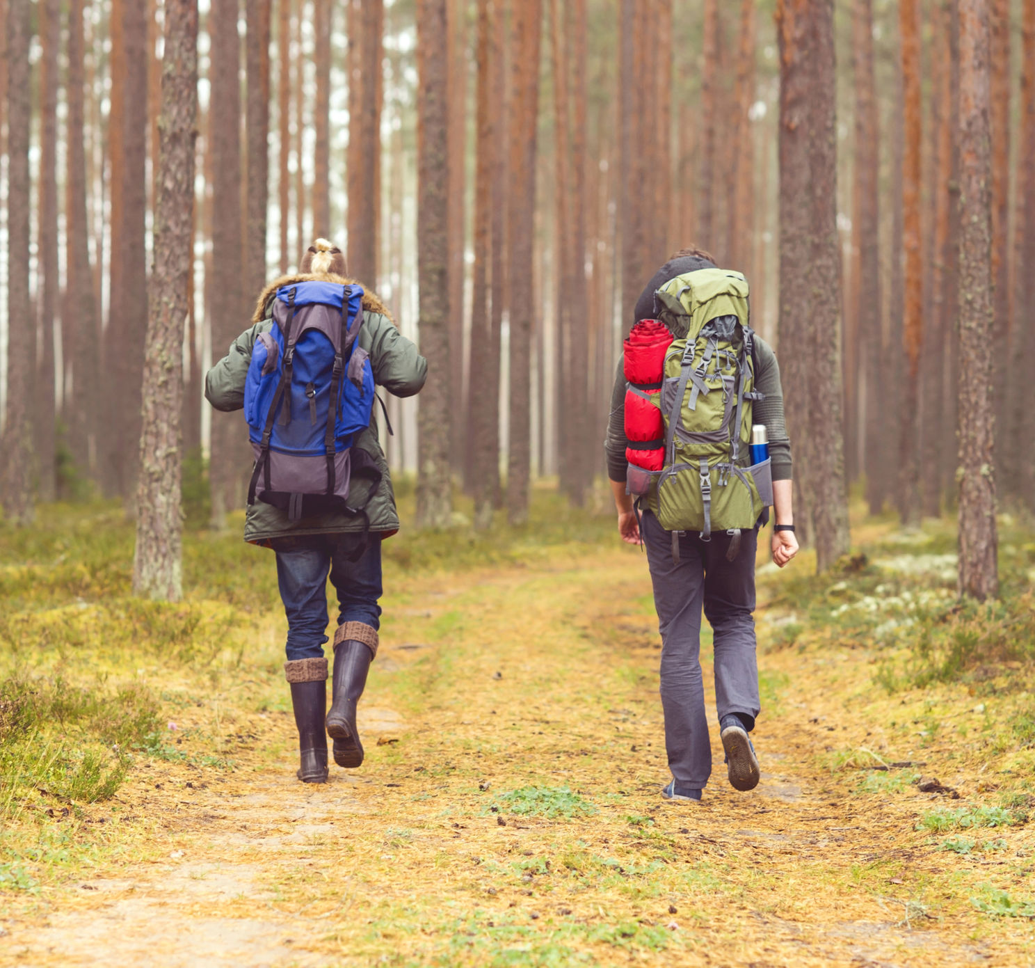 Try backpacking-lite